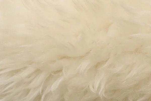 동물의 베이지 솜털의 텍스처 — 스톡 사진