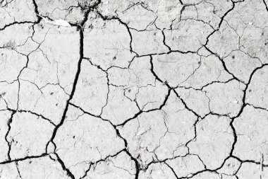 Beyaz kurumuş ve çatlamış toprak arka planı, kuru çatlak zemini, çatlak yüzeyi, beyaz çatlamış dokuyu tasarımcılar için kapatın.