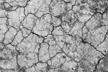 Parlak yeşil yapraklı çalılar. bahar arkaplanı 