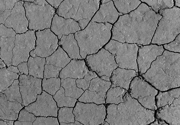 Gris Textura Fondo Tierra Agrietada — Foto de Stock