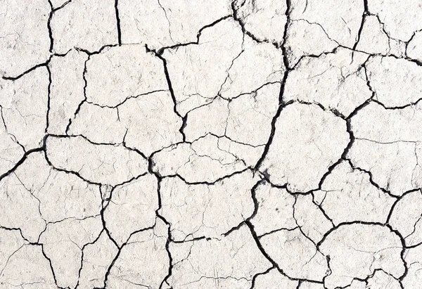 White Cracked Earth Texture Background — Stock Photo, Image