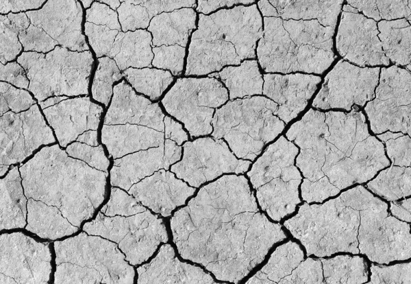 Beyaz çatlamış toprak dokusu arka planı