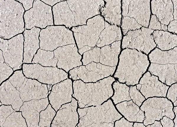Beyaz çatlamış toprak dokusu arka planı
