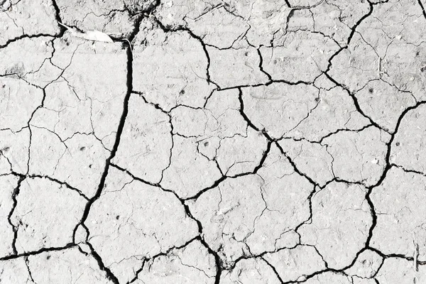 Beyaz kurumuş ve çatlamış toprak arka planı, kuru çatlak zemini, çatlak yüzeyi, beyaz çatlamış dokuyu tasarımcılar için kapatın.