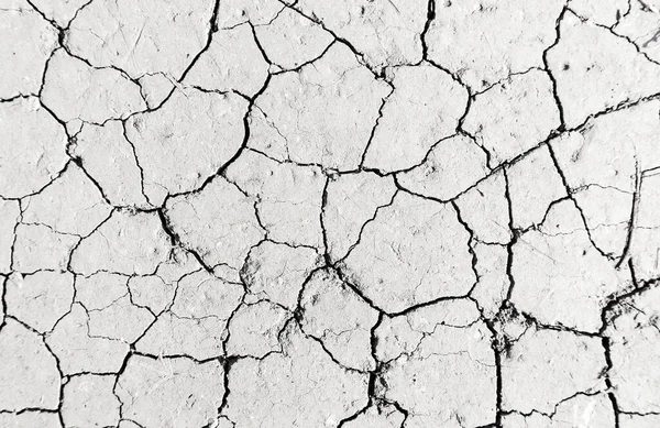 Beyaz kurumuş ve çatlamış toprak arka planı, kuru çatlak zemini, çatlak yüzeyi, beyaz çatlamış dokuyu tasarımcılar için kapatın.