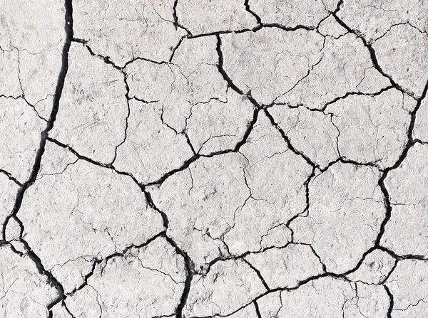 White Earth Cracks Texture Background — Stock Photo, Image