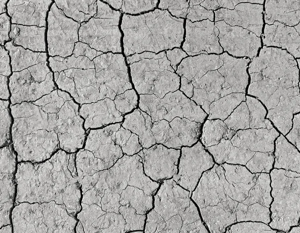 Çatlak doku arka planına sahip beyaz toprak