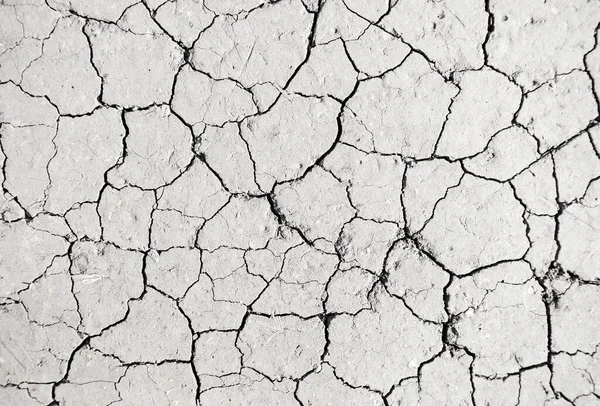 Beyaz kurumuş ve çatlamış toprak arka planı, kuru çatlak zemini, çatlak yüzeyi, beyaz çatlamış dokuyu tasarımcılar için kapatın.
