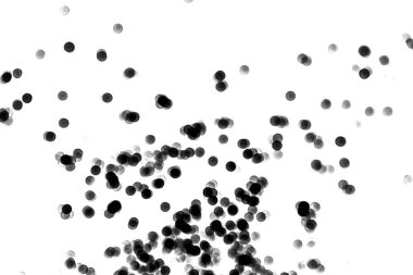 Beyaz arkaplanda siyah bir bokeh, açık renk, siyah ışık, siyah beyaz fotoğraf.