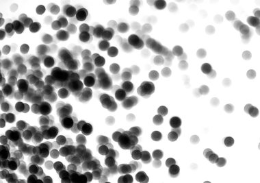 Beyaz arkaplanda siyah bir bokeh, açık renk, siyah ışık, siyah beyaz fotoğraf.