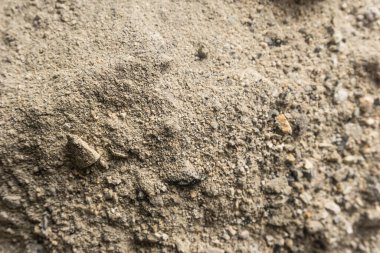 Fırının arka planındaki kül dokusu, kül, şöminenin ahşap külleri.