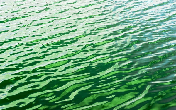 池塘中的绿色水面 翡翠水纹背景 石灰绿色波浪水 — 图库照片