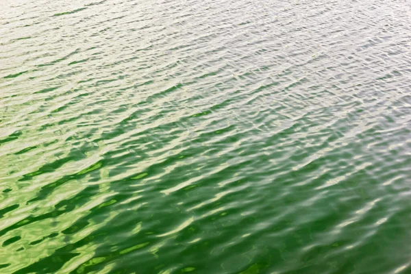 池塘中的绿色水面 翡翠水纹背景 石灰绿色波浪水 — 图库照片