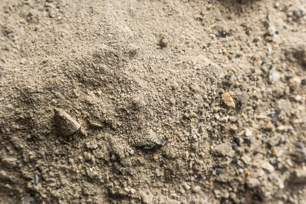 Fırının arka planındaki kül dokusu, kül, şöminenin ahşap külleri.