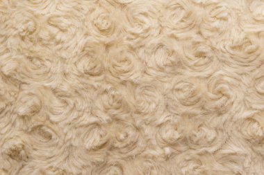 Arkaplanı kıvrımlı bej doğal yün. Pamuk, beyaz yün halı. Kalıplı beyaz kürk halı