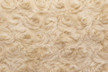 Arkaplanı kıvrımlı bej doğal yün. Pamuk, beyaz yün halı. Kalıplı beyaz kürk halı