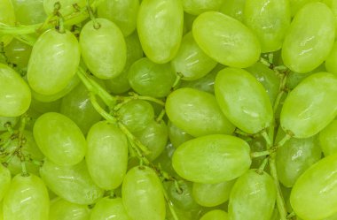 Su damlası arkaplan desenli yeşil üzüm demetleri, yakın plan