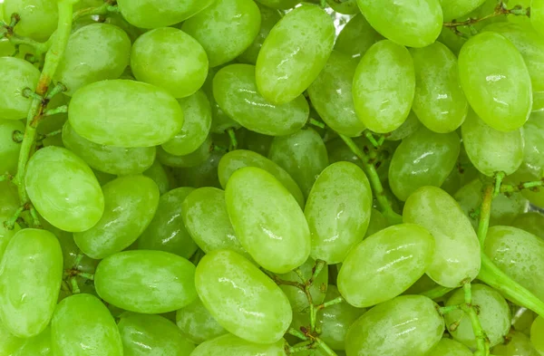 Racimos Uvas Verdes Con Gotas Agua Textura Fondo Primer Plano — Foto de Stock