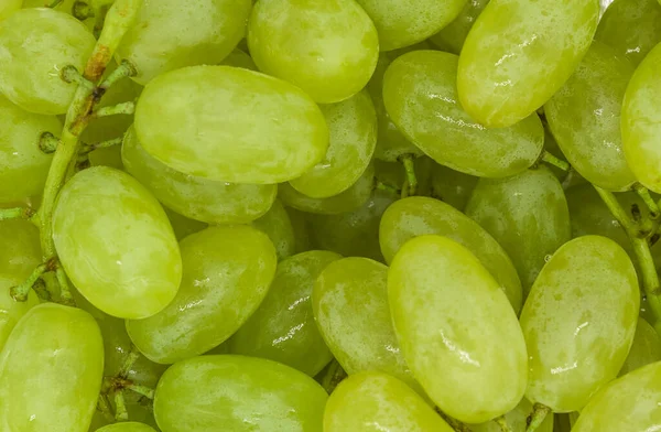 Trauben Aus Grünen Trauben Mit Wassertropfen Hintergrundstruktur Nahaufnahme — Stockfoto