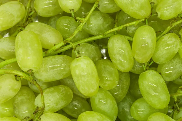 Trauben Aus Grünen Trauben Mit Wassertropfen Hintergrundstruktur Nahaufnahme — Stockfoto