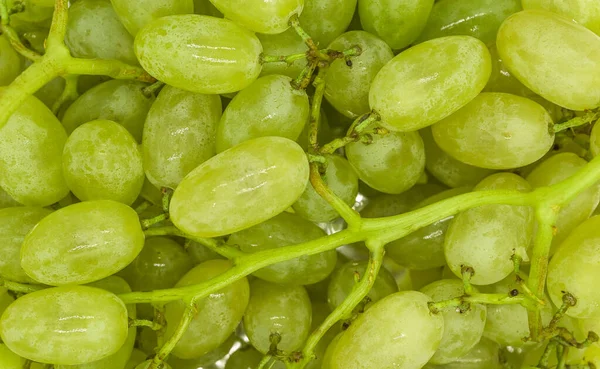 Racimos Uvas Verdes Con Gotas Agua Textura Fondo Primer Plano — Foto de Stock