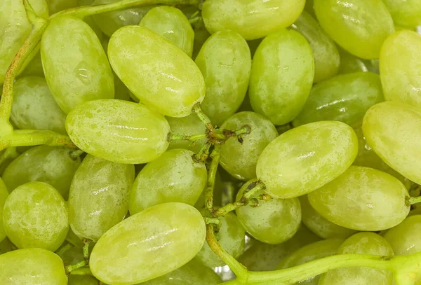 Racimos Uvas Verdes Con Gotas Agua Textura Fondo Primer Plano — Foto de Stock