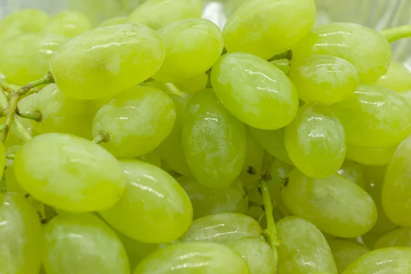 Racimos Uvas Verdes Con Gotas Agua Textura Fondo Primer Plano — Foto de Stock