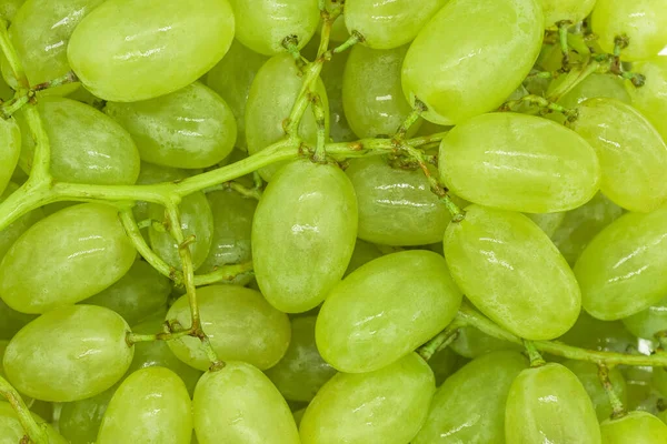 Trauben Aus Grünen Trauben Mit Wassertropfen Hintergrundstruktur Nahaufnahme — Stockfoto