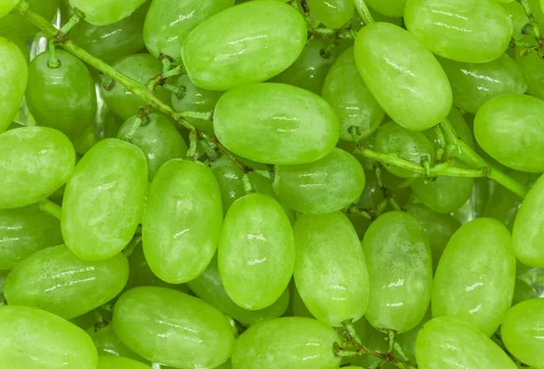 Racimos Uvas Verdes Con Gotas Agua Textura Fondo Primer Plano — Foto de Stock