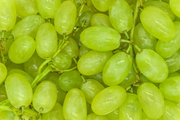 Bunches Green Grapes Water Drops Background Texture Closeup — Stock Photo, Image