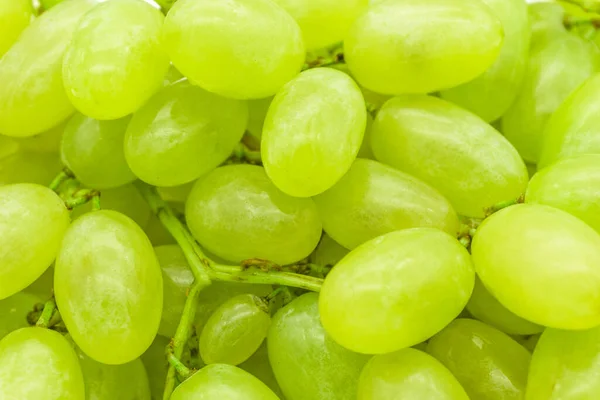 Racimos Uvas Verdes Con Gotas Agua Textura Fondo Primer Plano — Foto de Stock