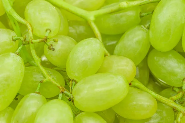 Racimos Uvas Verdes Con Gotas Agua Textura Fondo Primer Plano — Foto de Stock