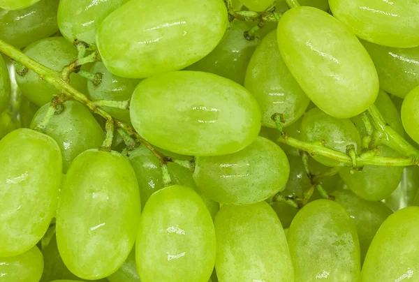 Racimos Uvas Verdes Con Gotas Agua Textura Fondo Primer Plano — Foto de Stock