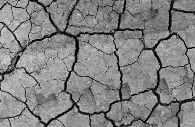 Gri kurumuş ve toprak altyapısı çatlamış. Kuru, karanlık zemine yakın bir yerde. erozyon