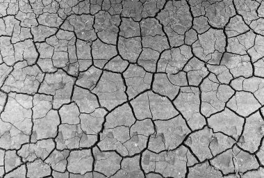 Gri kurumuş ve toprak altyapısı çatlamış. Kuru, karanlık zemine yakın bir yerde. erozyon