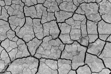 Gri kurumuş ve toprak altyapısı çatlamış. Kuru, karanlık zemine yakın bir yerde. erozyon