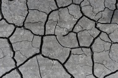 Gri kurumuş ve toprak altyapısı çatlamış. Kuru, karanlık zemine yakın bir yerde. erozyon