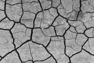 Gri kurumuş ve toprak altyapısı çatlamış. Kuru, karanlık zemine yakın bir yerde. erozyon