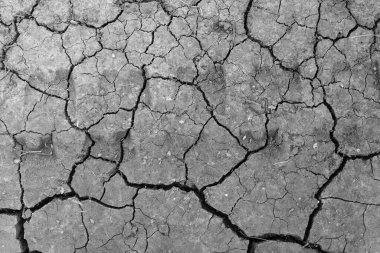 Gri kurumuş ve toprak altyapısı çatlamış. Kuru, karanlık zemine yakın bir yerde. erozyon