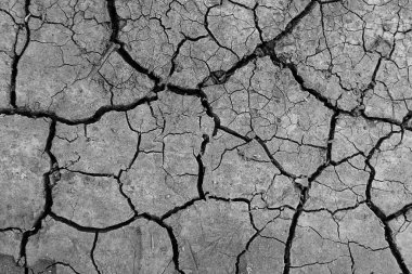 Gri kurumuş ve toprak altyapısı çatlamış. Kuru, karanlık zemine yakın bir yerde. erozyon