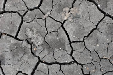 Gri kurumuş ve toprak altyapısı çatlamış. Kuru, karanlık zemine yakın bir yerde. erozyon