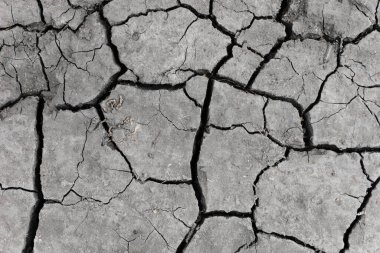 Gri kurumuş ve toprak altyapısı çatlamış. Kuru, karanlık zemine yakın bir yerde. erozyon