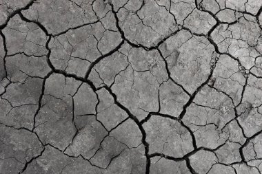 Gri kurumuş ve toprak altyapısı çatlamış. Kuru, karanlık zemine yakın bir yerde. erozyon