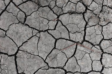 Gri kurumuş ve toprak altyapısı çatlamış. Kuru, karanlık zemine yakın bir yerde. erozyon