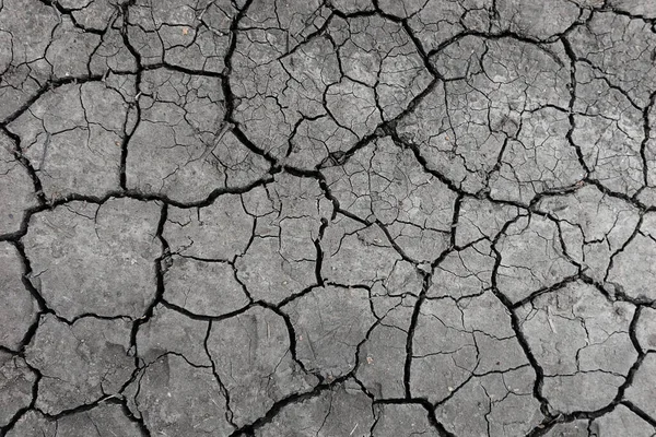 Серый Высохший Потрескавшийся Почвенный Фон Крупный План Сухой Трещины Темной — стоковое фото