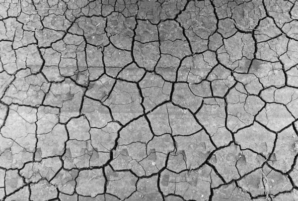 Gri kurumuş ve toprak altyapısı çatlamış. Kuru, karanlık zemine yakın bir yerde. erozyon