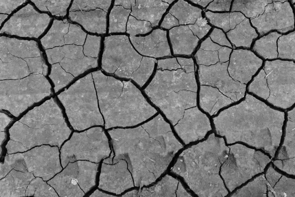 Grey Dried Cracked Ground Earth Background Closeup Dry Fissure Dark — Stock Photo, Image