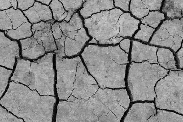 Grau Getrockneter Und Rissiger Erdboden Nahaufnahme Eines Trockenen Spaltenden Dunklen — Stockfoto