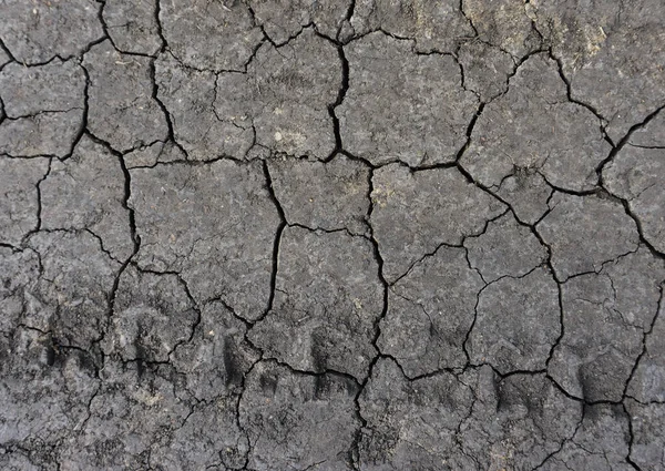 Grey dried and cracked ground earth background. Closeup of dry fissure dark ground. erosion