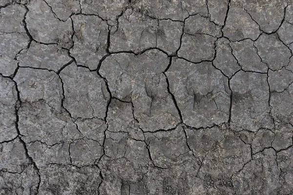 Grey dried and cracked ground earth background. Closeup of dry fissure dark ground. erosion